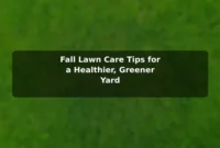 Fall Lawn Care Tips for a Healthier, Greener Yard