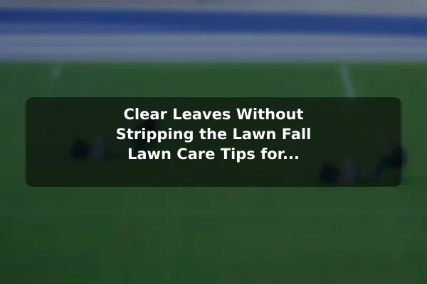 Clear Leaves Without Stripping the Lawn Fall Lawn Care Tips for a Healthier, Greener Yard