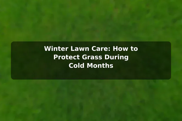 Winter Lawn Care: How to Protect Grass During Cold Months