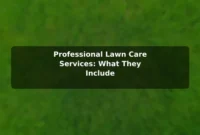 Professional Lawn Care Services: What They Include