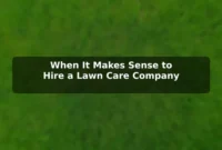 When It Makes Sense to Hire a Lawn Care Company