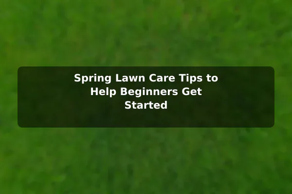 Spring Lawn Care Tips to Help Beginners Get Started