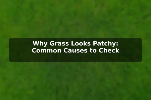 Why Grass Looks Patchy: Common Causes to Check