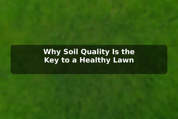 Why Soil Quality Is the Key to a Healthy Lawn