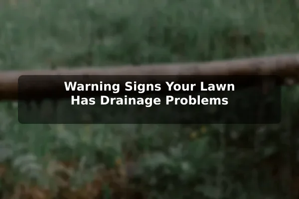 Warning Signs Your Lawn Has Drainage Problems
