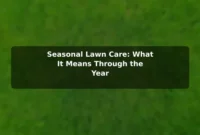 Seasonal Lawn Care: What It Means Through the Year