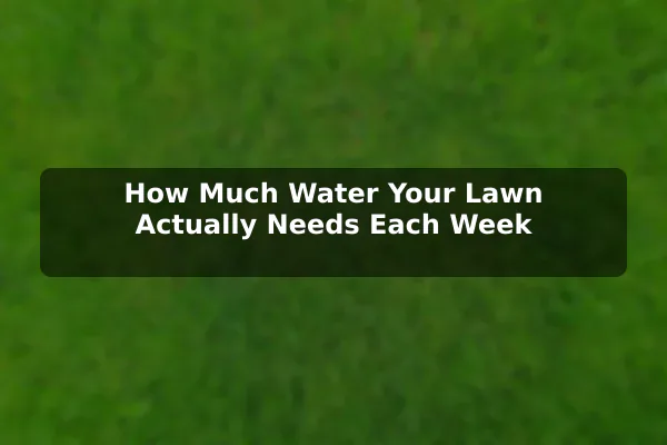 How Much Water Your Lawn Actually Needs Each Week