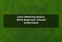 Lawn Watering Basics: What Beginners Should Understand