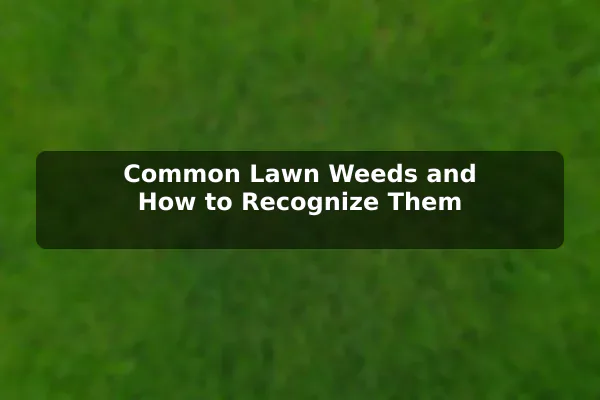 Common Lawn Weeds and How to Recognize Them