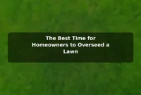 The Best Time for Homeowners to Overseed a Lawn