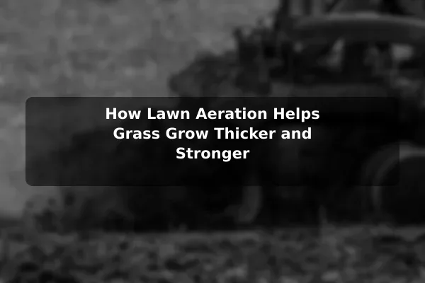 How Lawn Aeration Helps Grass Grow Thicker and Stronger