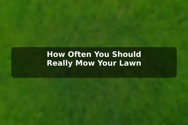 How Often You Should Really Mow Your Lawn