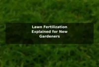 Lawn Fertilization Explained for New Gardeners
