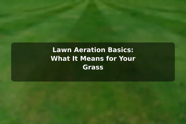 Lawn Aeration Basics: What It Means for Your Grass