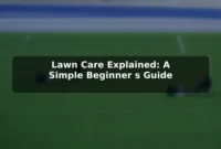 Lawn Care Explained: A Simple Beginner's Guide Lawn Care Explained: A Simple Beginner's Guide