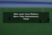 Why Lawn Care Matters More Than Homeowners Think