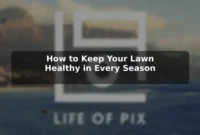 How to Keep Your Lawn Healthy in Every Season
