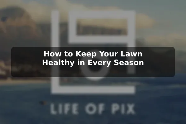 How to Keep Your Lawn Healthy in Every Season