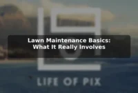 Lawn Maintenance Basics: What It Really Involves