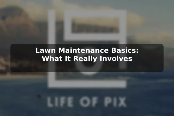 Lawn Maintenance Basics: What It Really Involves