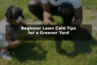 Beginner Lawn Care Tips for a Greener Yard