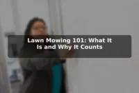 Lawn Mowing 101: What It Is and Why It Counts Lawn Mowing 101: What It Is and Why It Counts