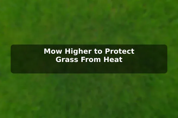 Mow Higher to Protect Grass From Heat
