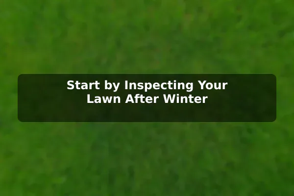 Start by Inspecting Your Lawn After Winter