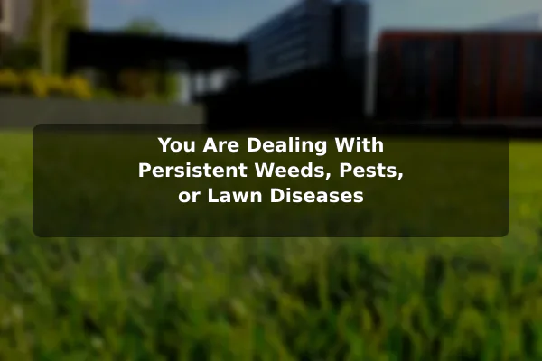 You Are Dealing With Persistent Weeds, Pests, or Lawn Diseases