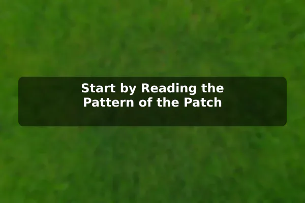 Start by Reading the Pattern of the Patch
