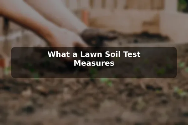 What a Lawn Soil Test Measures