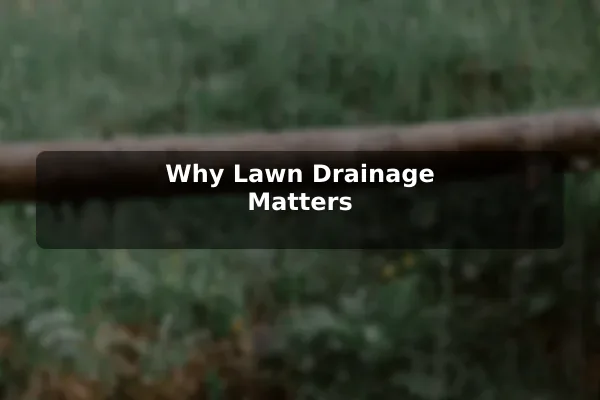Why Lawn Drainage Matters