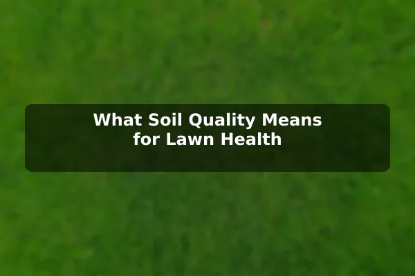 What Soil Quality Means for Lawn Health