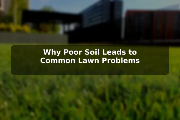Why Poor Soil Leads to Common Lawn Problems