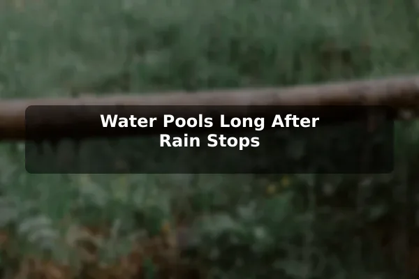 Water Pools Long After Rain Stops