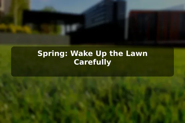 Spring: Wake Up the Lawn Carefully