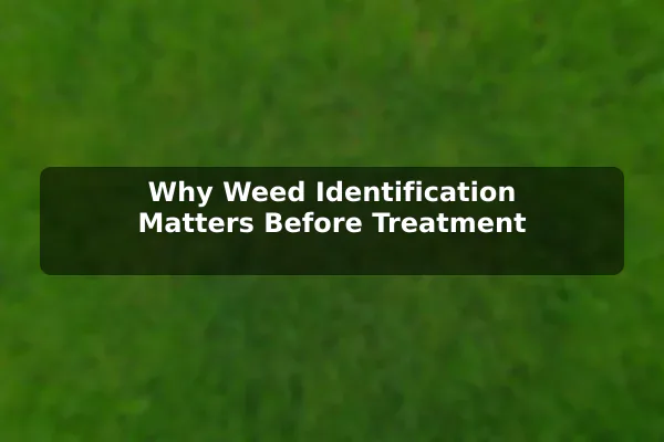 Why Weed Identification Matters Before Treatment