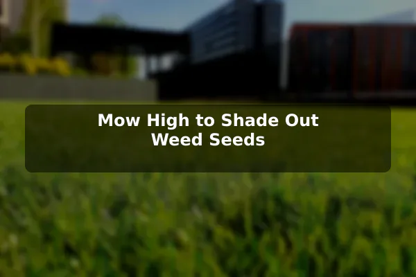 Mow High to Shade Out Weed Seeds