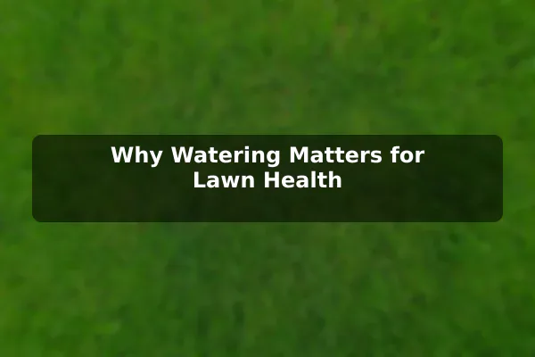 Why Watering Matters for Lawn Health