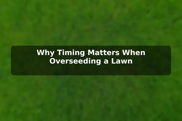 Why Timing Matters When Overseeding a Lawn