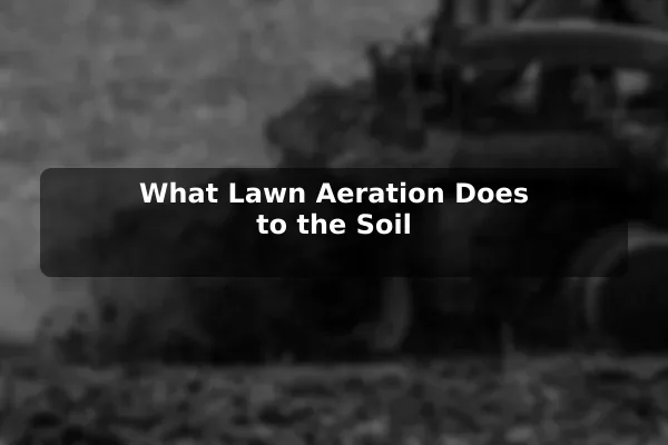 What Lawn Aeration Does to the Soil