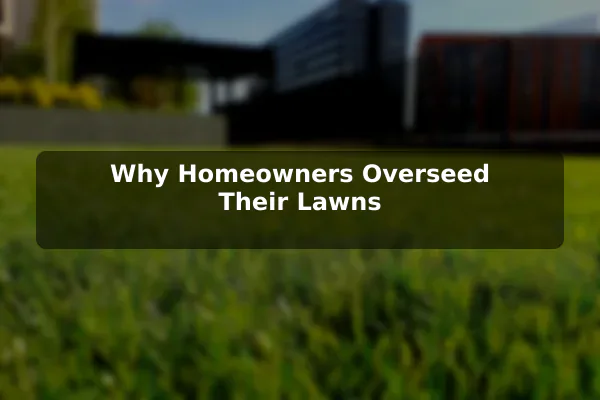 Why Homeowners Overseed Their Lawns