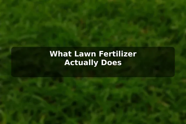 What Lawn Fertilizer Actually Does