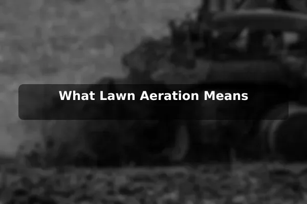 What Lawn Aeration Means