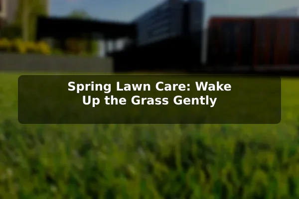 Spring Lawn Care: Wake Up the Grass Gently