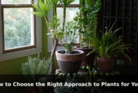 How to Choose the Right Approach to Plants for Your Goals