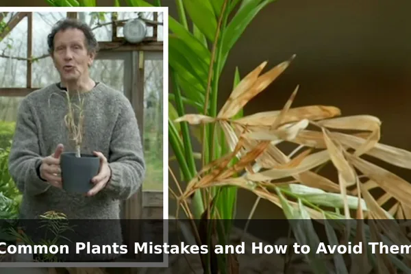 Common Plants Mistakes and How to Avoid Them