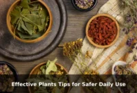 Effective Plants Tips for Safer Daily Use