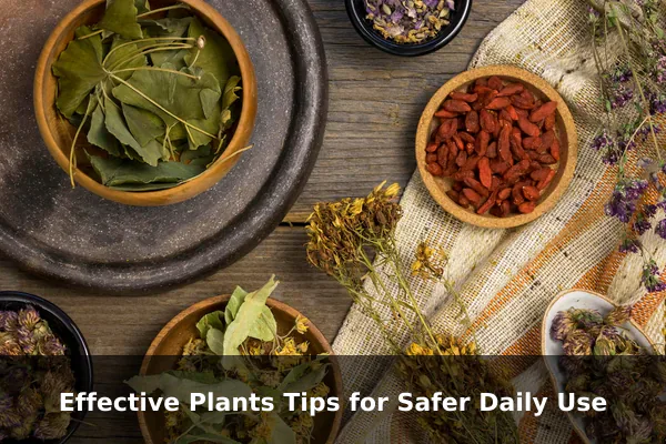 Effective Plants Tips for Safer Daily Use