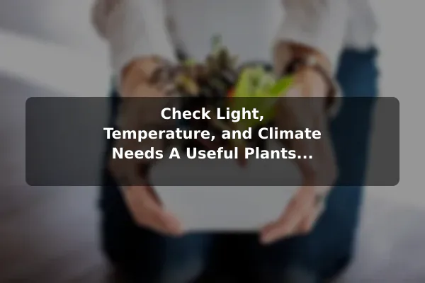 Check Light, Temperature, and Climate Needs A Useful Plants Checklist Before Making a Decision